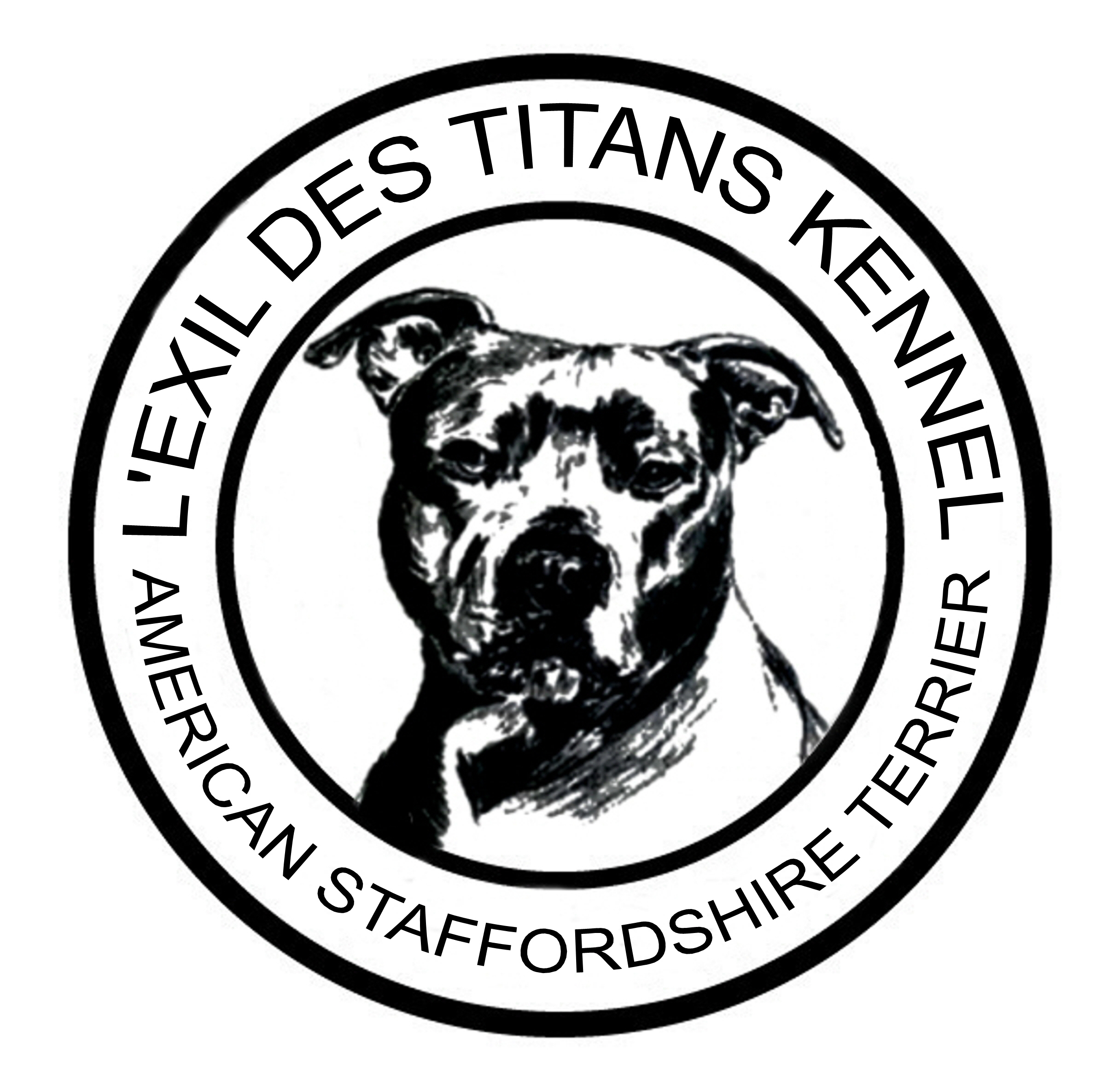 L`Exil des Titans, élevage d`American Staffordshire Terrier